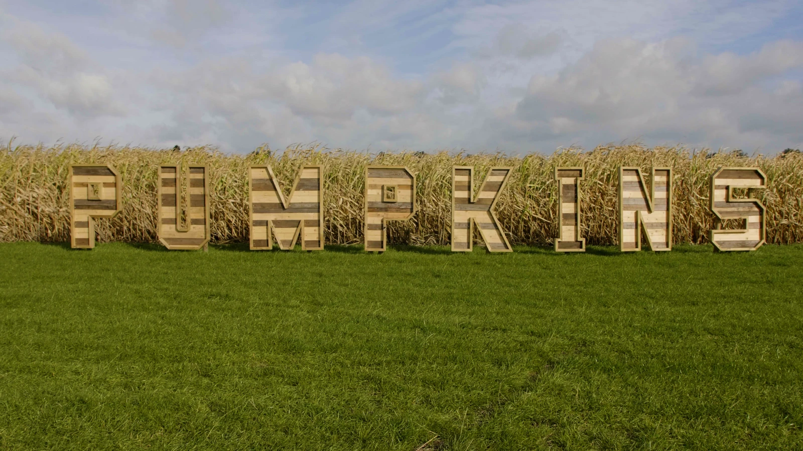 Stills from Poms Maize Maze (3) (1).jpg